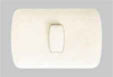 P1101