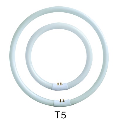 Circular Fluorescence Tube