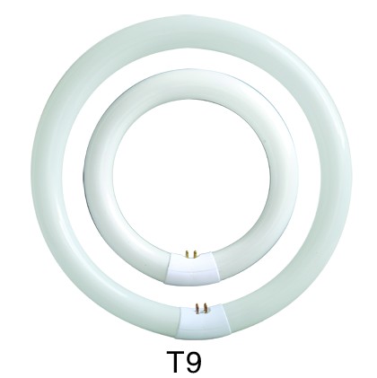Circular Fluorescence Tube